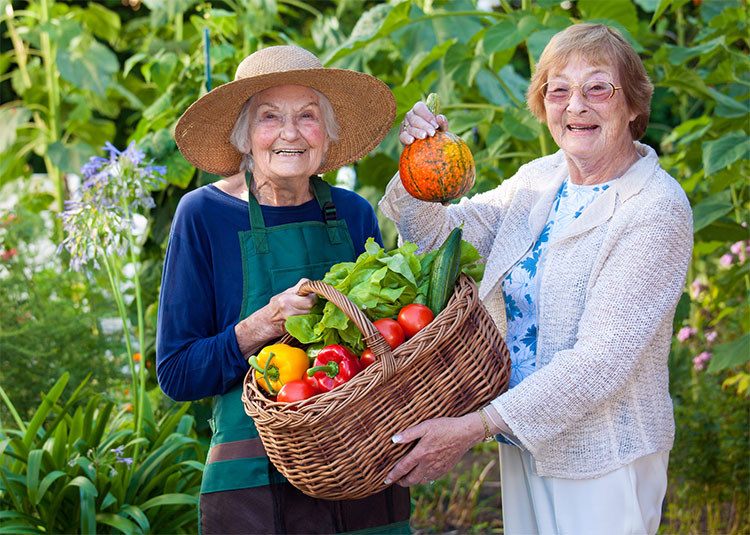 The Benefits of Senior Living Communities in Florence